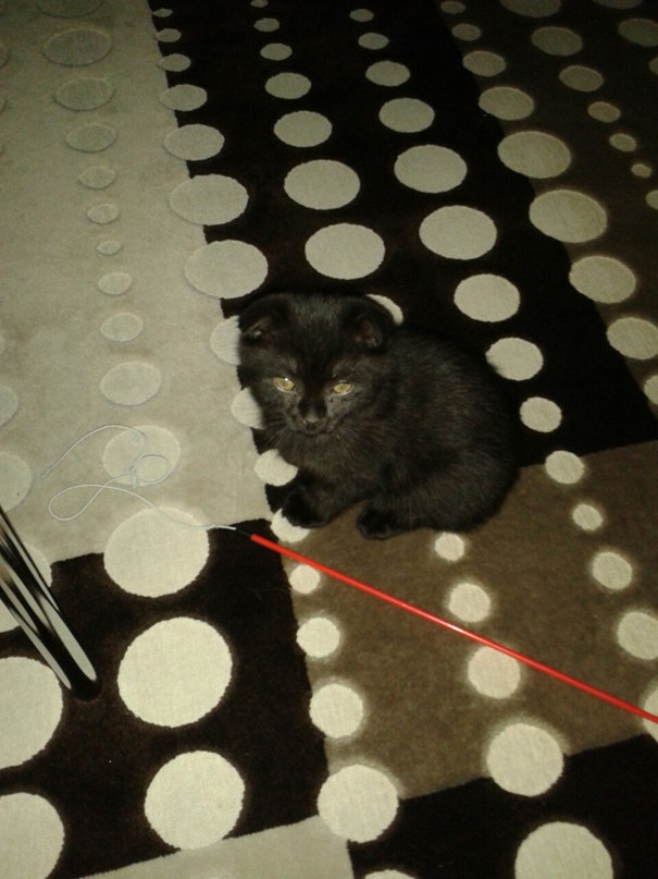 Ирина Константинова | Киров