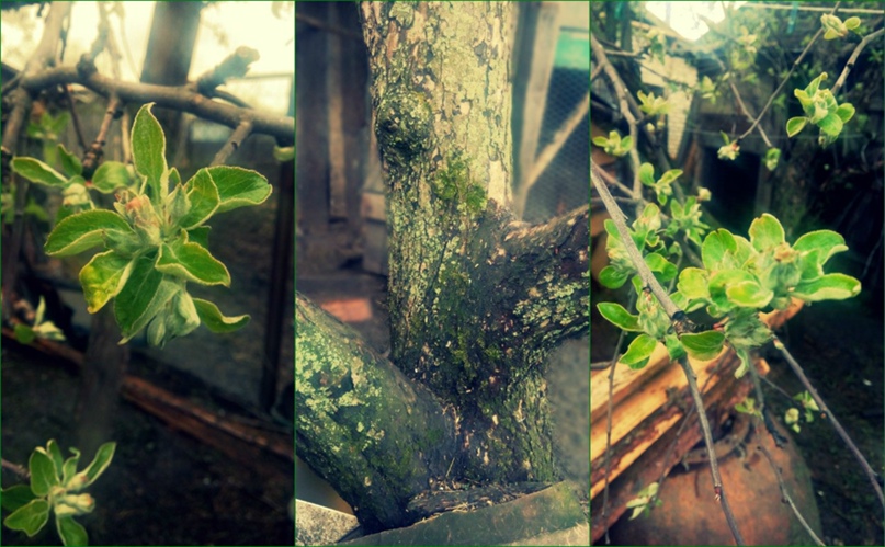 Елизавета Киселёва | Пенза