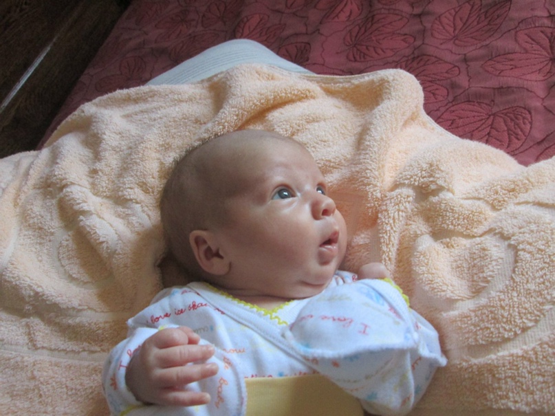 Алёна Паламарчук | Жмеринка