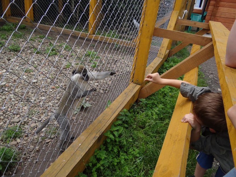 Настя Крючкова | Львов