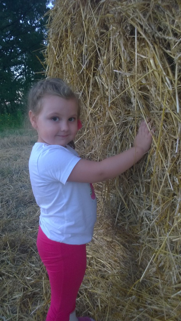 Павел Пичугин | Луховицы