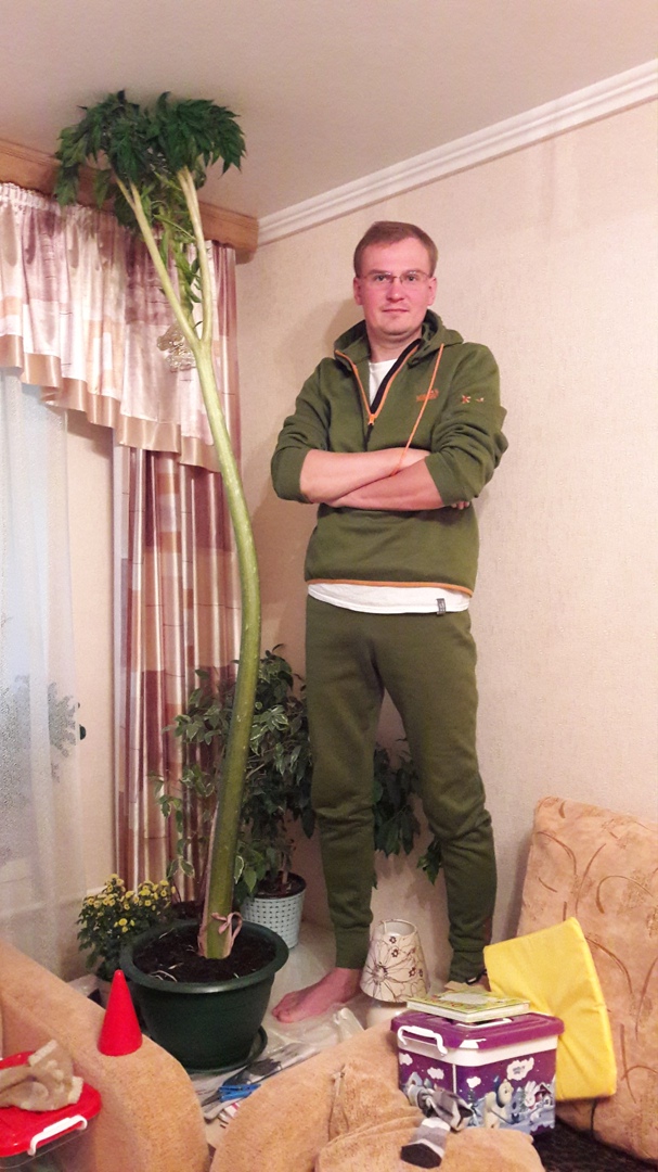 Peter Kondratyev Mihaly4 | Москва