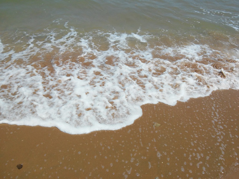 Ольга Павловская | Санкт-Петербург