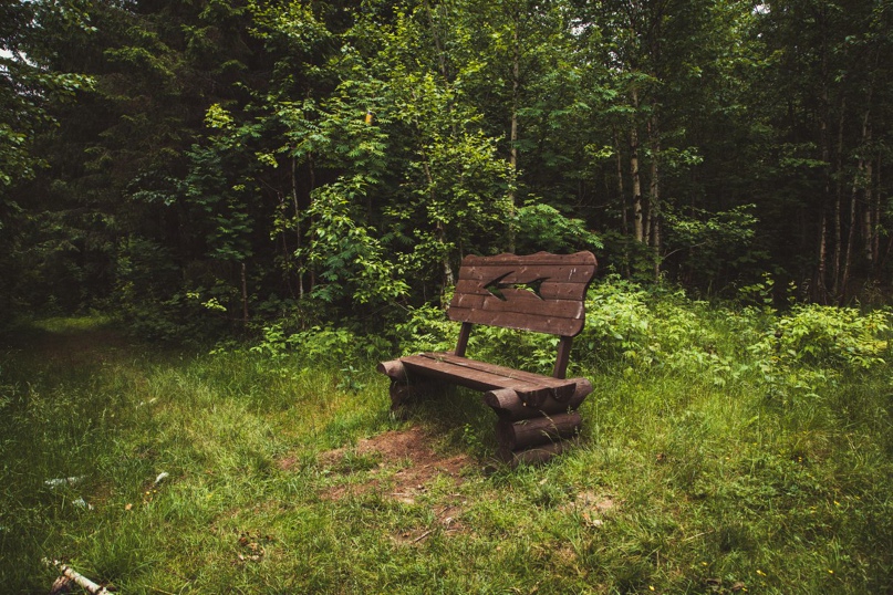 Иван Лапин | Воткинск