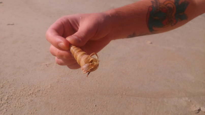 Денис Кольцов <БАРМОЛЕЙ> | Москва