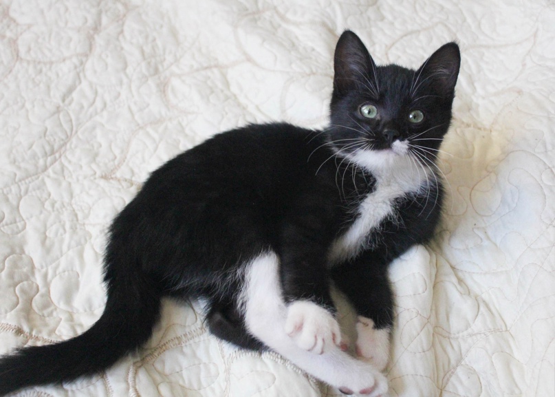 Евгения Лукьянова |