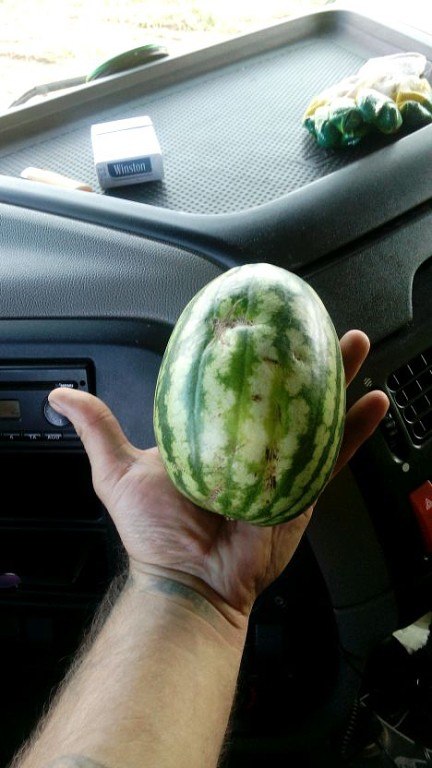 Дмитрий Муравьев | Москва