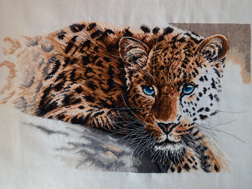 Олег Васильев | Оренбург