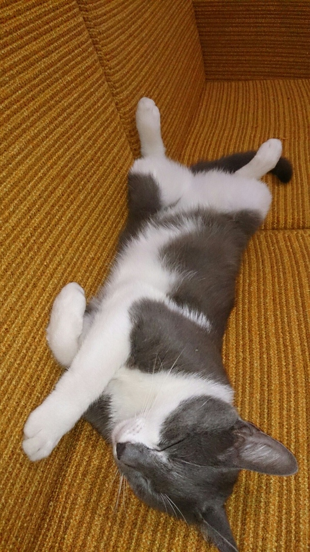 Марина Храмова | Сызрань