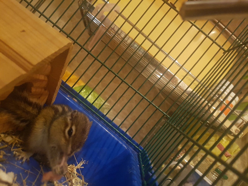 Татьяна Панфёрова | Санкт-Петербург