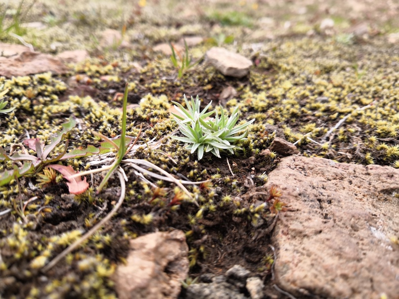 Наталья Романова | Москва