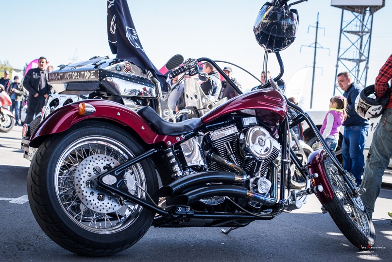 Геннадий Ефимов | Ростов-на-Дону