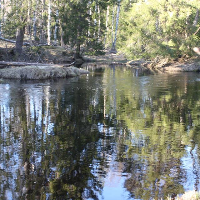 Алексей Чумичев Алексеевич | Санкт-Петербург