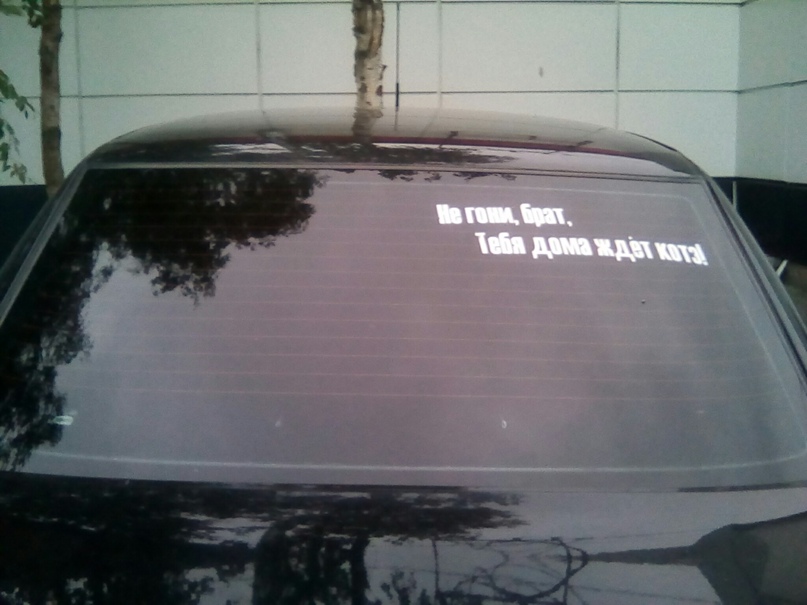 Александр Сухарев | Петрозаводск