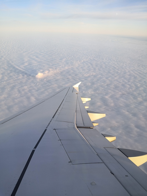 Сергей Чумаков | Санкт-Петербург