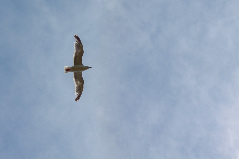 Максим Сердюков | Южно-Сахалинск