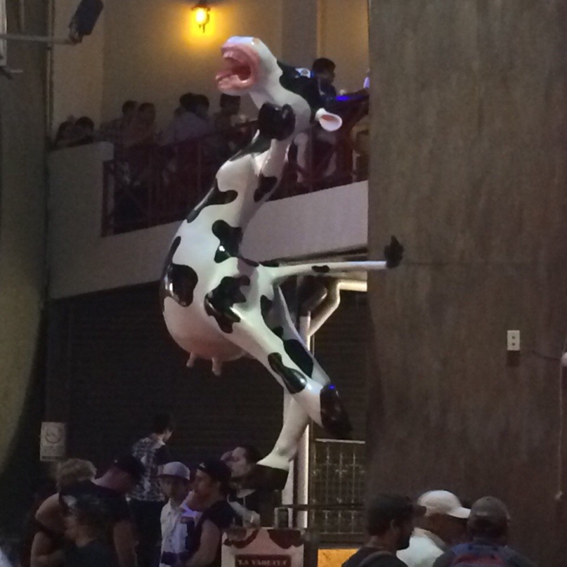 Светлана Зиновьева | Тюмень