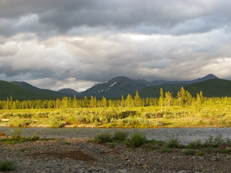 Сергей Филиппенко |