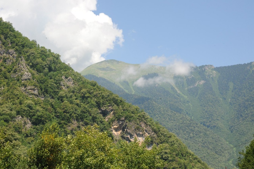 Евгений Ненашев | Оренбург