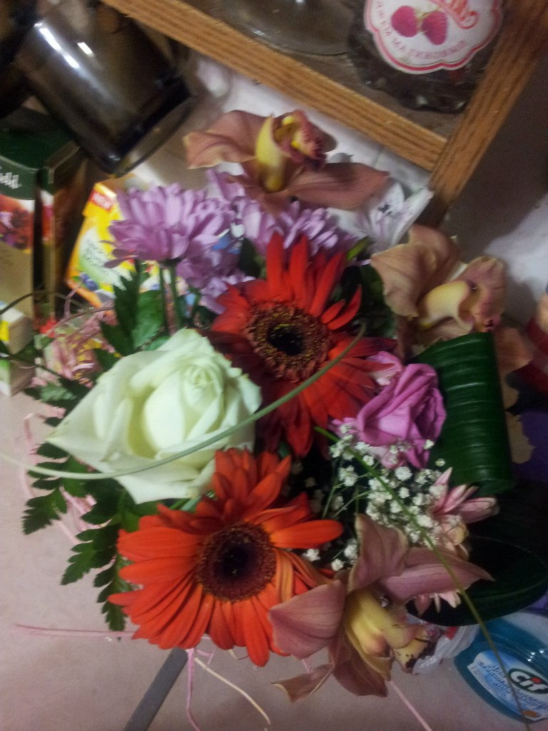 Елена Селивёрстова | Самара