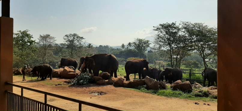 Наталия Архипова | Санкт-Петербург