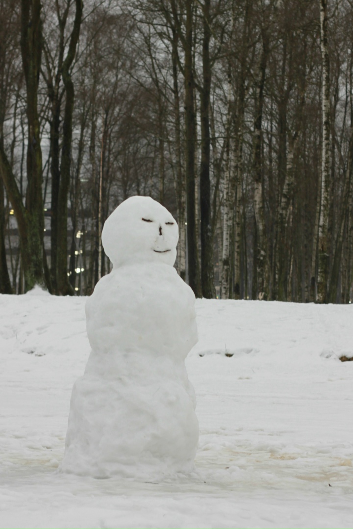 Дмитрий Ковалевский | Санкт-Петербург