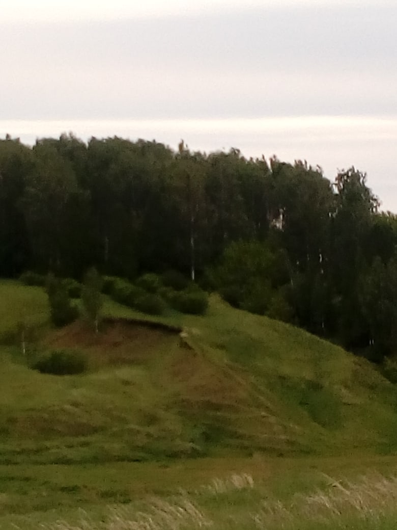 Александр Васин | Чистополь