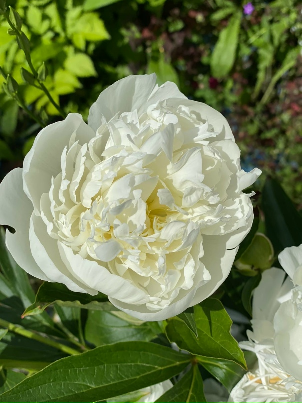 Ольга Давиденко | Москва