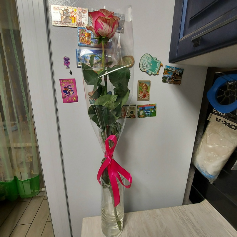 Ирина Феофанова | Бокситогорск