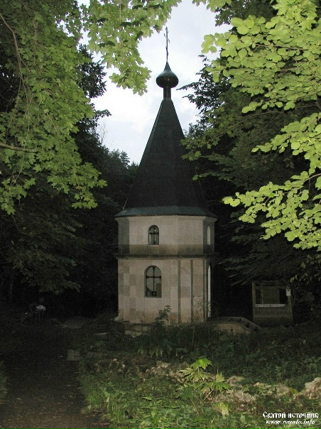 Родник, святой источник святителя Николая Чудотворца урочище Каменная Чаша у сел