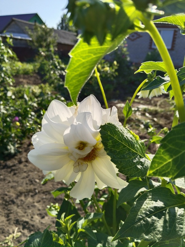 Александра Завгородняя | Жешарт