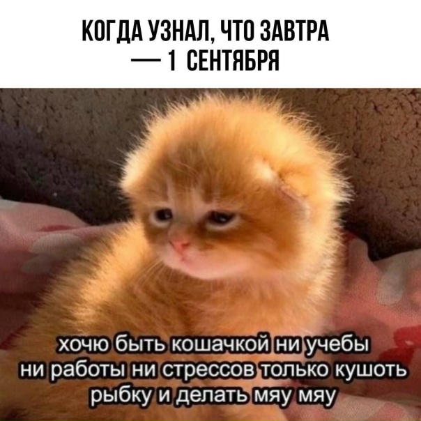 Последний день лета мем