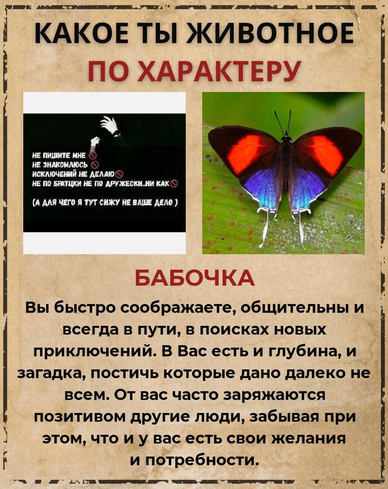 Кристина Шакирова | Чистополь