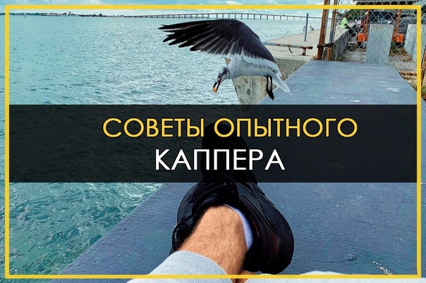 Самая проходная стратегия ставок на спорт Самая проходная стратегия ставок на спорт страховка ставок на betfair
