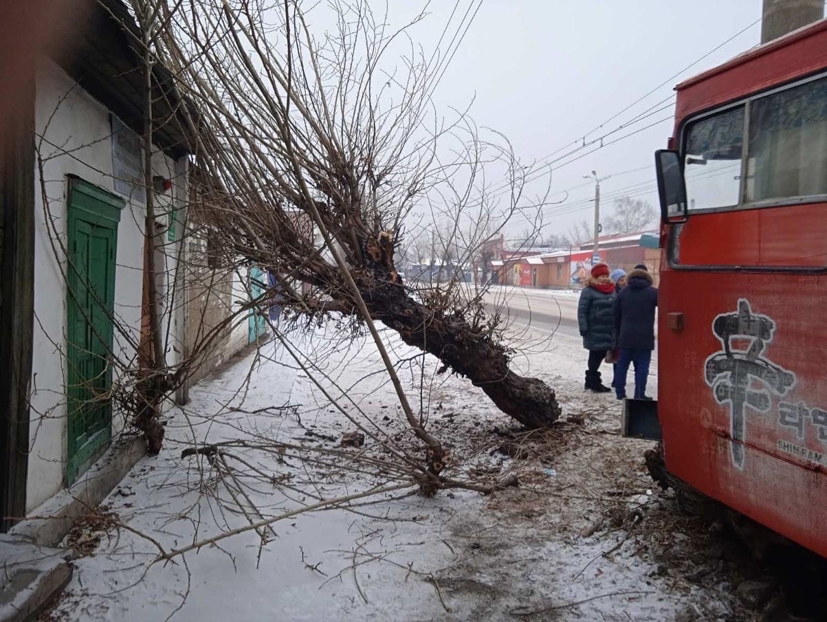 Водитель врезавшегося в троллейбус №2 грузовика в Чите был пьян – предварительная версия Это картинка