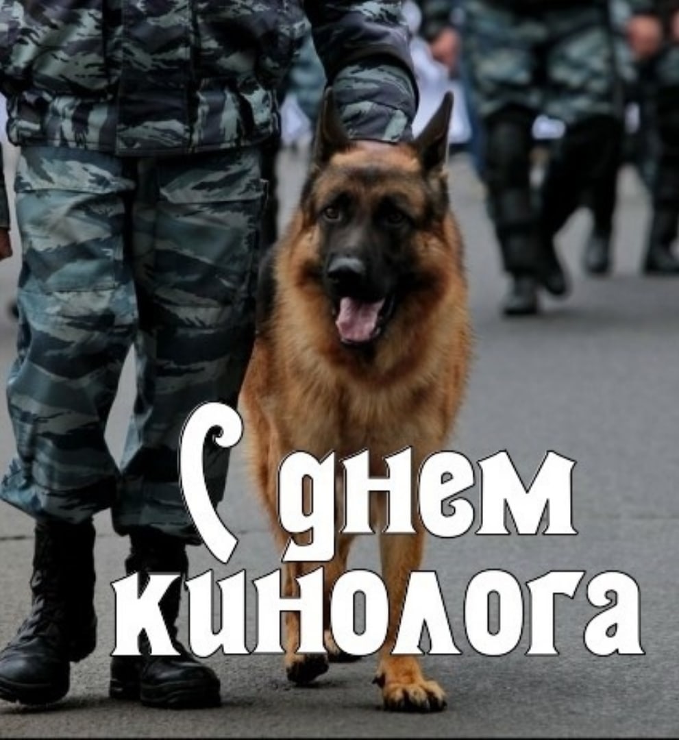 День кинолога в России