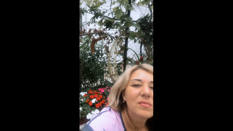 Live: PWS, Reiki,