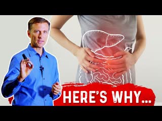 How do Probiotics Work for Fatty Liver Disease  Dr. Berg