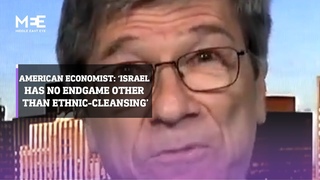 American economist: 'Israel has no endgame other than ethnic-cleansing'