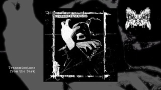 Devouring Famine - Contract From Below (full demo, 2022)