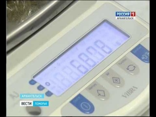 В Архангельске задержаны сёстры, подозреваемые в сбыте наркотиков