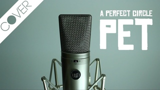 A Perfect Circle - Pet (Cover)