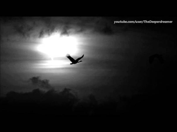 t Eho Tran Eklypse ( Original
