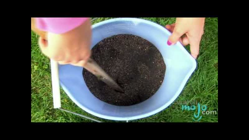 How to take care of your garden