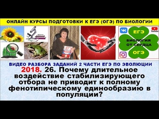 ЗАДАНИЕ ЛИНИИ 26. ПРО ОТСУТСТВИЕ ФЕНОТИПИЧЕСКОГО ЕДИНООБРАЗИЯ