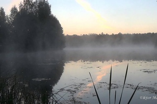 Beautiful nature and gentle morning on the lake with fog over water | Nice music for relax