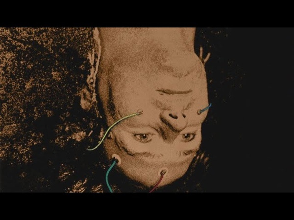 Altered States (1980) Trailer HD