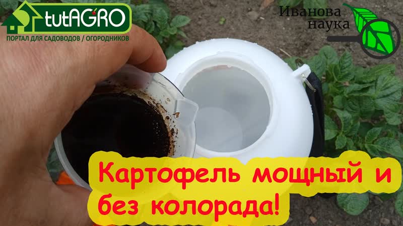 СДЕЛАЙТЕ ТАК И КАРТОФЕЛЯ БУДЕТ КУЧА За 1 раз мощный рост