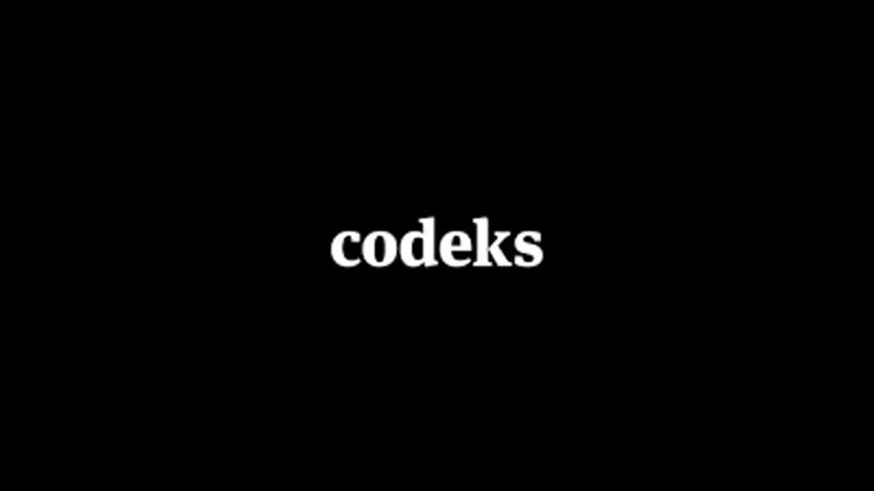 CODECKS KNOWS WHO I AM PRETENDING WORKING LOOKING AT ME AT CORNER OF EYE. CONFIRMED COWORKING HQ HAMBOURG ITS
