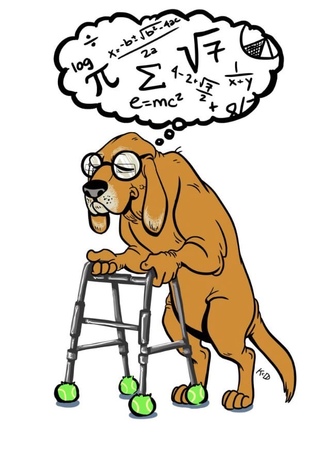 Teaching old dogs new tricks. You can t teach an old dog new tricks. You can't teach an old dog new tricks. идиомы с dog. Teaching old dogs new tricks.